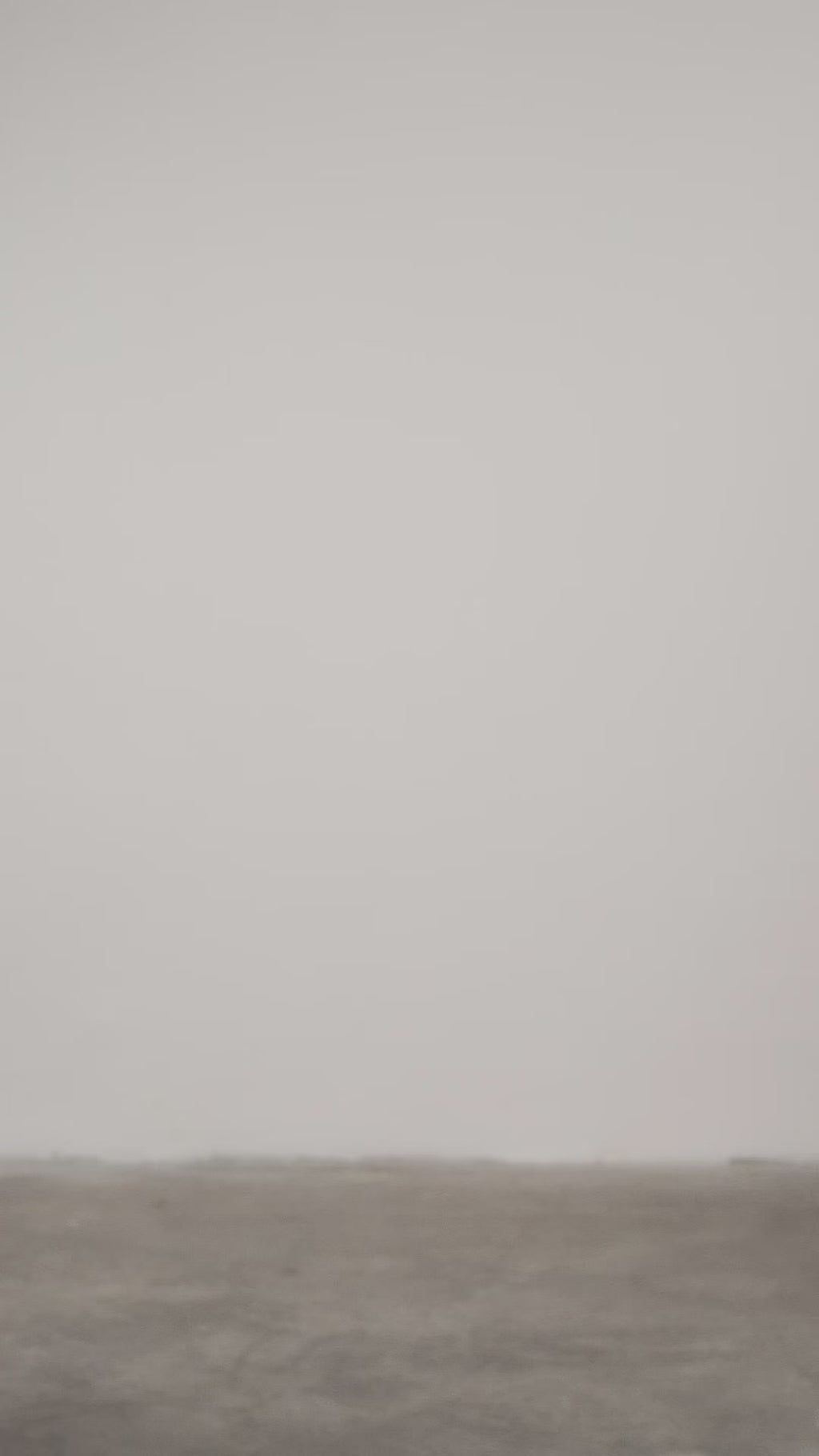 The Gabrielle Jacket